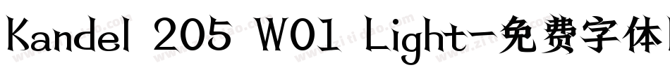 Kandel 205 W01 Light字体转换